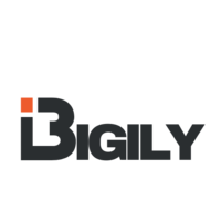 bigily.co.za