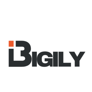 bigily.co.za